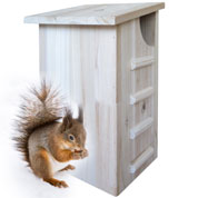 Squirrel Shelter - Caillard